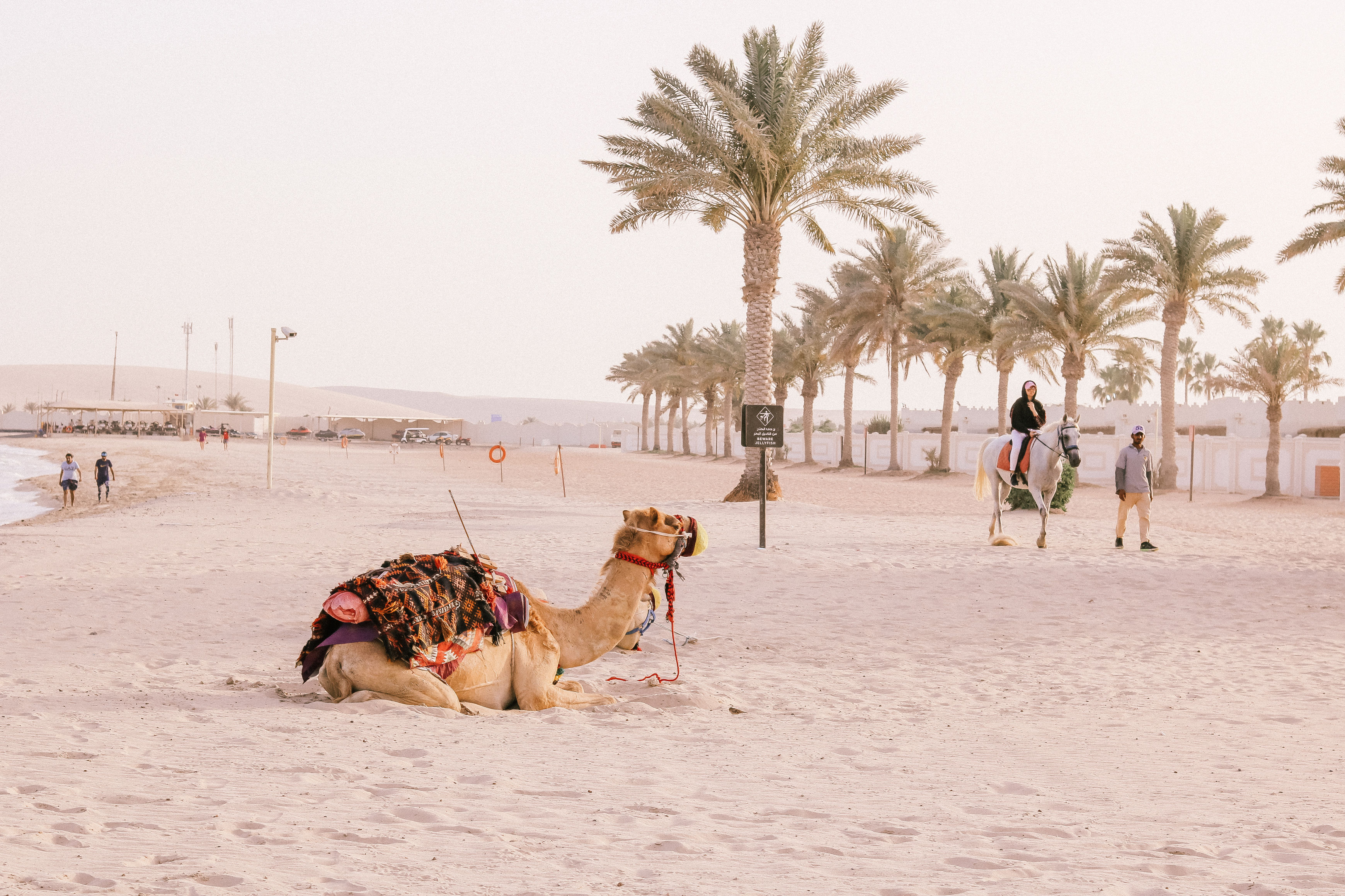 Mesaieed Sealine Public Beach